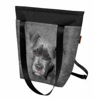 Torba/plecak 2w1 - Pit Bull